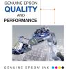 EPSON 125 DURABrite Ultra Ink Standard Capacity Magenta Cartridge (T125320-S) Works with Stylus NX-125, NX-127, NX-130, NX-230, NX-420, NX-530, NX-625, WorkForce WF-320, WF-323, WF-325, WF-520