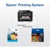 EPSON 252 DURABrite Ultra Ink Standard Capacity Black Dual Cartridge Pack (T252120-D2) Works with WorkForce WF-3620, WF-3640, WF-7110, WF-7610, WF-7620, WF-7710, WF-7720, WF-7210