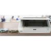 Epson Expression 13000XL Archival Photo and Graphics Flatbed Scanner