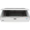 Epson Expression 13000XL Archival Photo and Graphics Flatbed Scanner