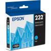 Epson T232 Cyan Ink Cartridge, Standard Capacity(Ink Cartridge)